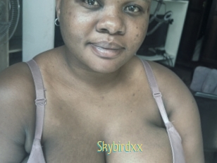 Skybirdxx