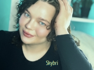 Skybri