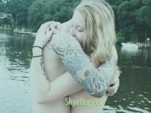Skyebugger