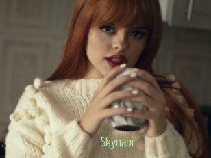 Skynabi