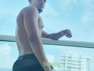 Snakebig