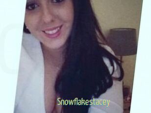 Snowflake_stacey