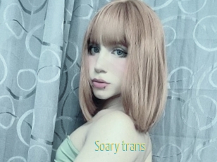 Soary_trans