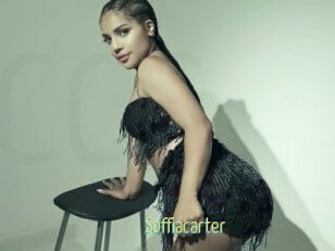 Soffiacarter