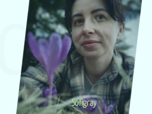Sofi_gray