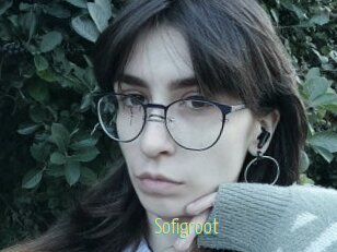 Sofigroot