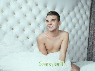 Sosexykarllfu
