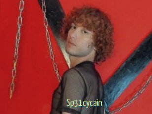 Sp31cycain