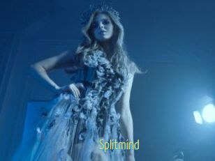 Splitmind