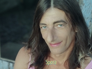 Spora