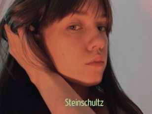 Steinschultz