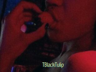 TBlackTulip