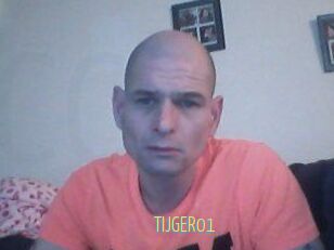 TIJGER01