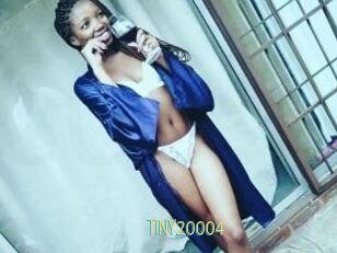 TINY20004