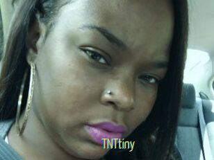 T_N_Ttiny