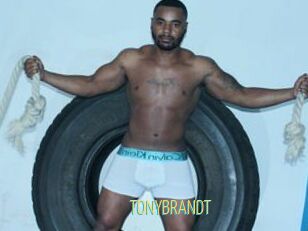 TONYBRANDT