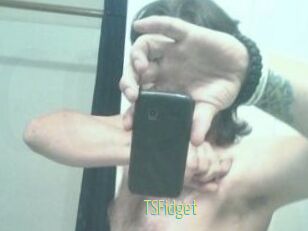 TSFidget