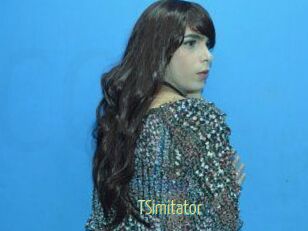 TSimitator