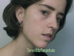 TerentilaTarantula