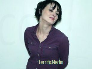 TerrificMerlin