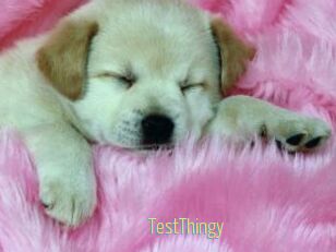TestThingy