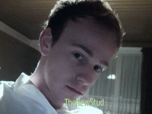 TheNewStud