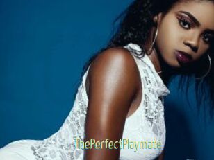 ThePerfectPlaymate
