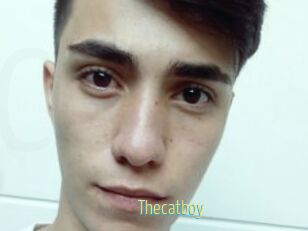 Thecatboy