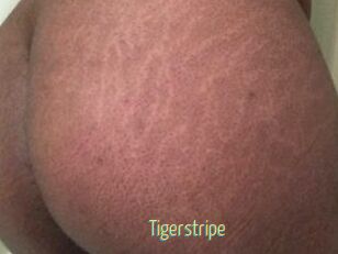 Tigerstripe