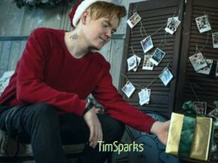 TimSparks