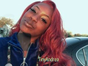 TinyAndrea