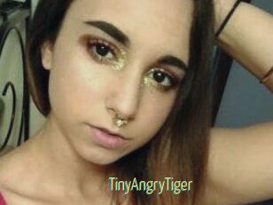 TinyAngryTiger