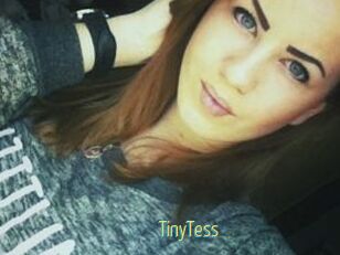 TinyTess