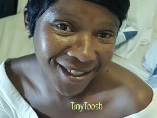 TinyToosh