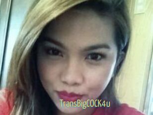 TransBigCOCK4u