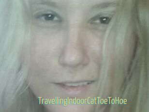 TravellingIndoorCatToeToHoe