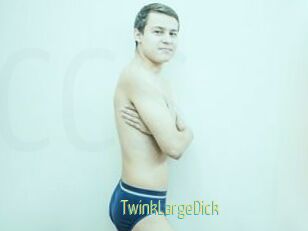 TwinkLargeDick