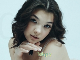 Taiteguy