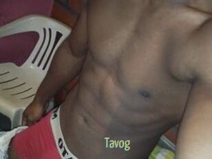 Tavog