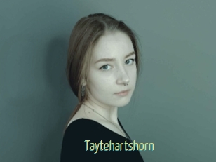 Taytehartshorn