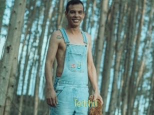 Teddhill
