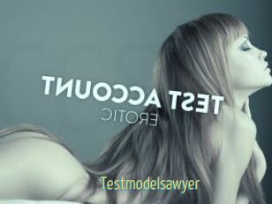 Testmodelsawyer