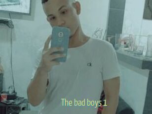 The_bad_boys_1
