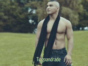 tiagoandrade Chaturbate Cam Sexe