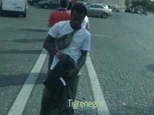 Tigrenegro