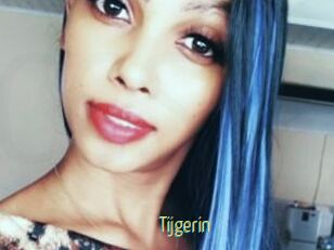 Tijgerin