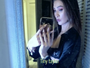 Tiny_taylor