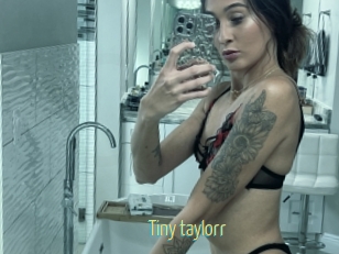 Tiny_taylorr