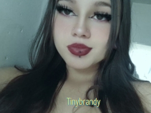 Tinybrandy