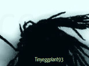 Tinyeggplant93